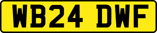 WB24DWF