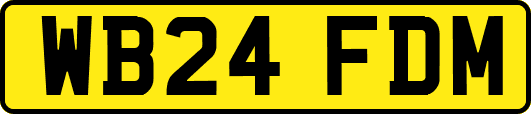 WB24FDM