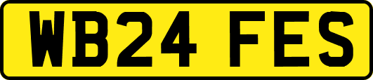 WB24FES