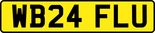 WB24FLU