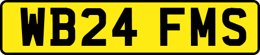WB24FMS