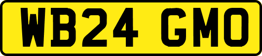 WB24GMO