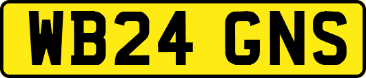 WB24GNS
