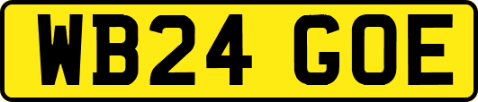 WB24GOE
