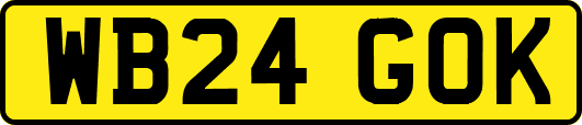 WB24GOK