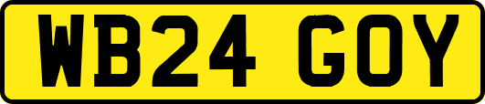 WB24GOY