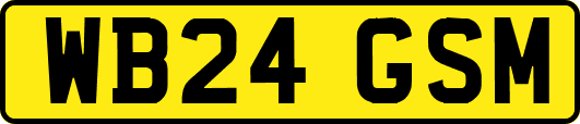 WB24GSM