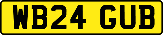 WB24GUB