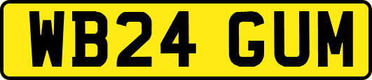 WB24GUM