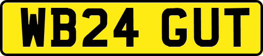 WB24GUT
