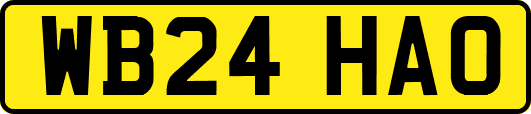 WB24HAO