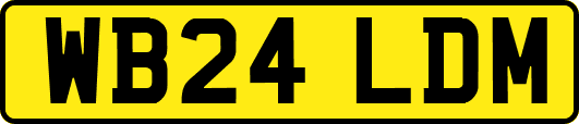 WB24LDM