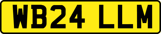 WB24LLM