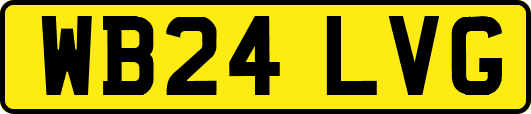 WB24LVG