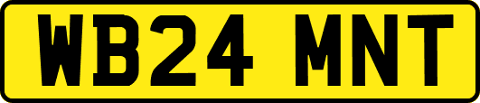 WB24MNT