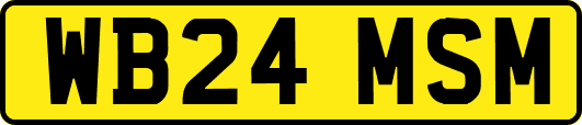 WB24MSM