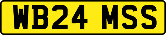 WB24MSS