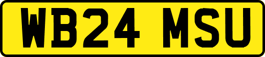 WB24MSU