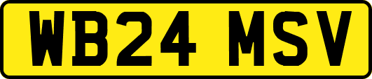 WB24MSV