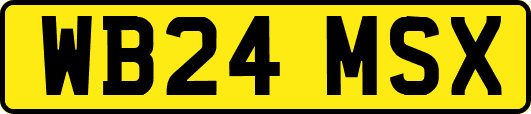 WB24MSX