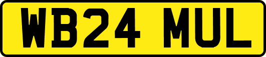 WB24MUL