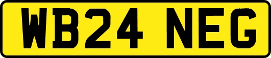 WB24NEG
