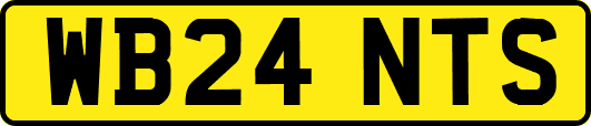 WB24NTS
