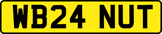 WB24NUT