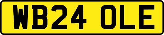 WB24OLE