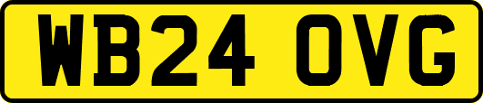 WB24OVG