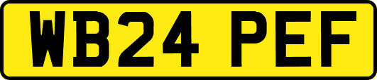 WB24PEF