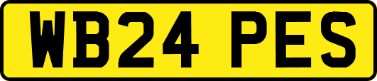 WB24PES