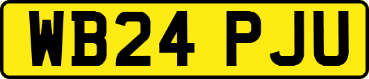 WB24PJU