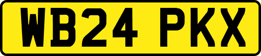 WB24PKX