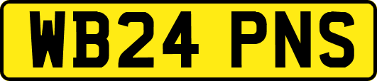 WB24PNS