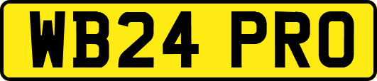 WB24PRO