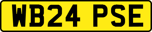 WB24PSE