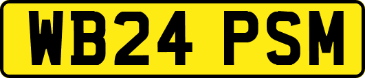 WB24PSM