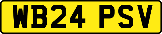 WB24PSV
