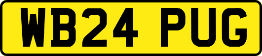 WB24PUG