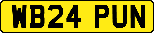 WB24PUN