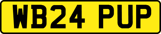 WB24PUP