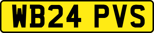 WB24PVS