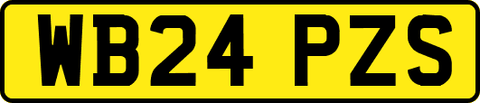 WB24PZS