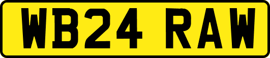 WB24RAW