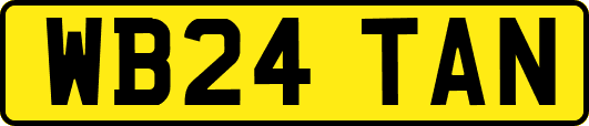 WB24TAN
