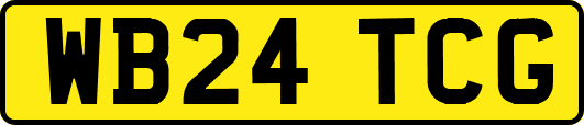 WB24TCG