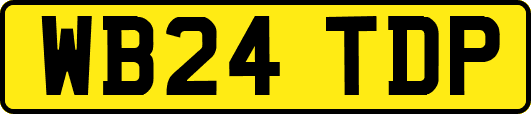 WB24TDP