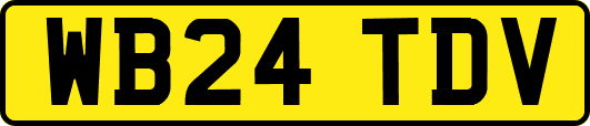 WB24TDV