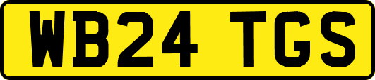 WB24TGS